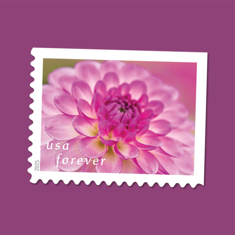 (2025) Dahlias Stamps Book of 20